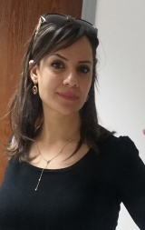 ניג'ם (רשיד) דינא, רואת חשבון